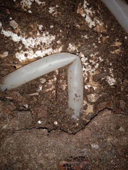 黄龙堵点精准查找